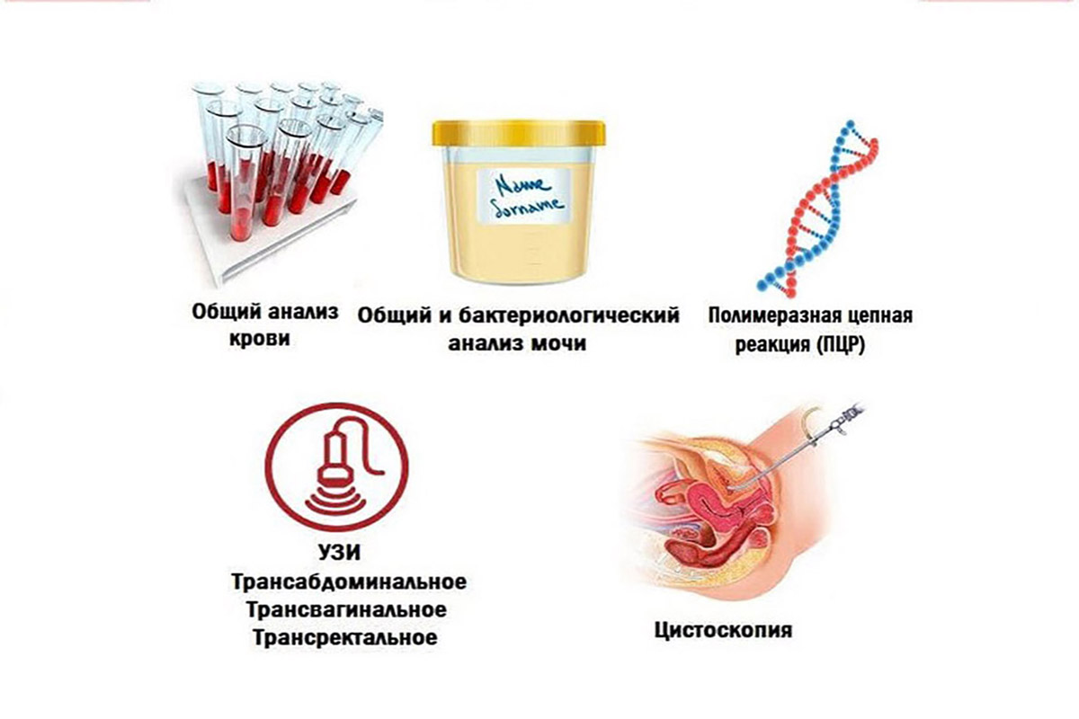  Hospital doctors examine patients so that